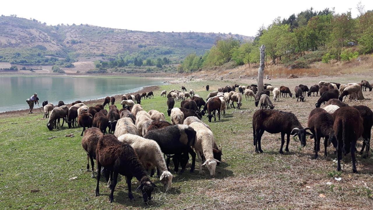 Appartamento Fiuggi Terme المظهر الخارجي الصورة